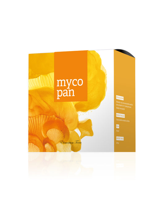 Mycopan 90 capsules