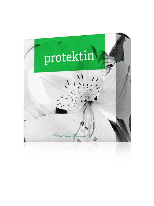 Protektin Soap 100g